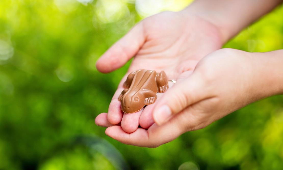 Chocolate y Bombones en A Coruña